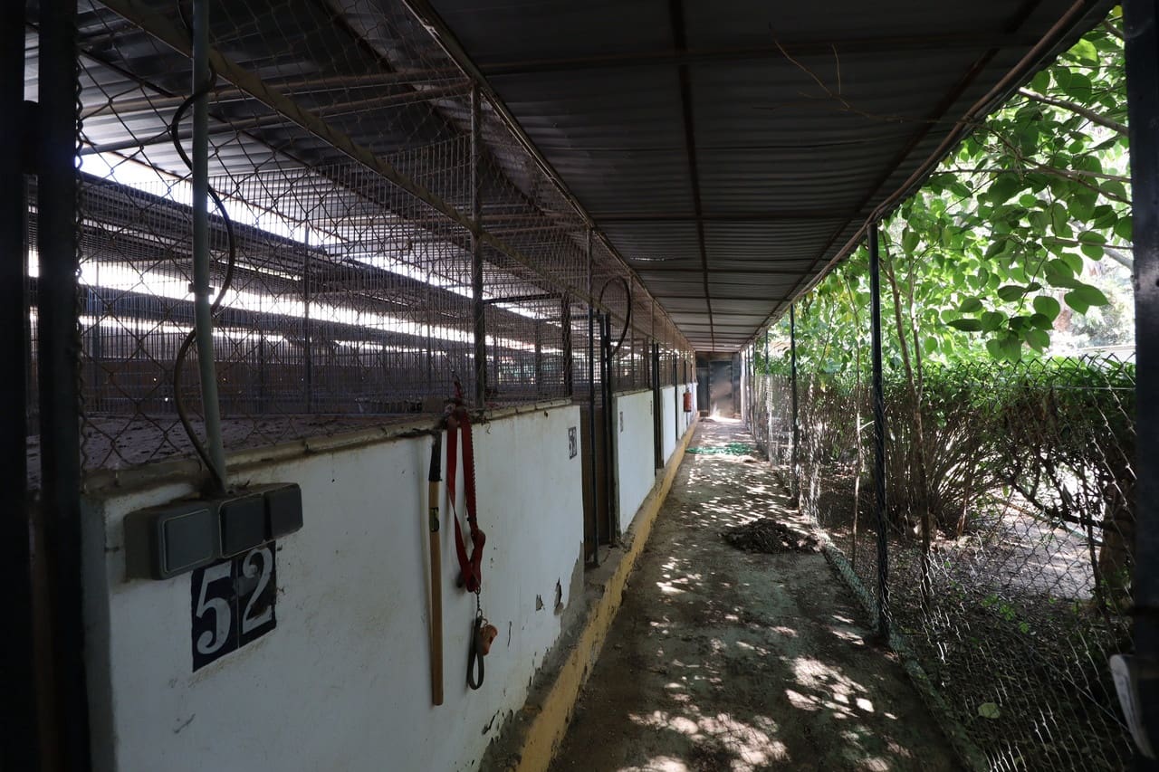 3 soveværelse Finca/Landehus til salg i Sangonera la Seca med swimmingpool garage - € 795.000 (Ref: 9182596)