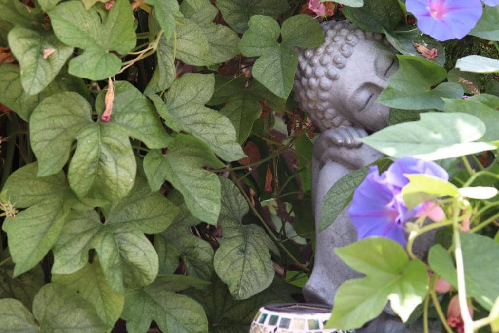 Villa in vendita in Calpe / Calp con piscina garage - 1.050.000 € (Rif: 9182609)