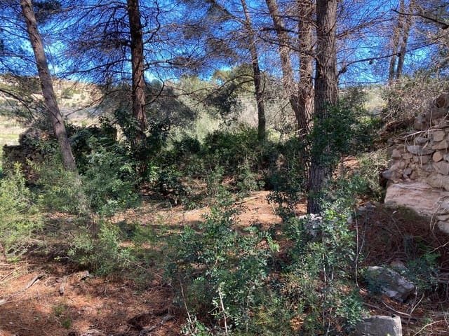 Building Plot for sale in Pedramala, Benissa - € 999,999 (Ref: 9182925)