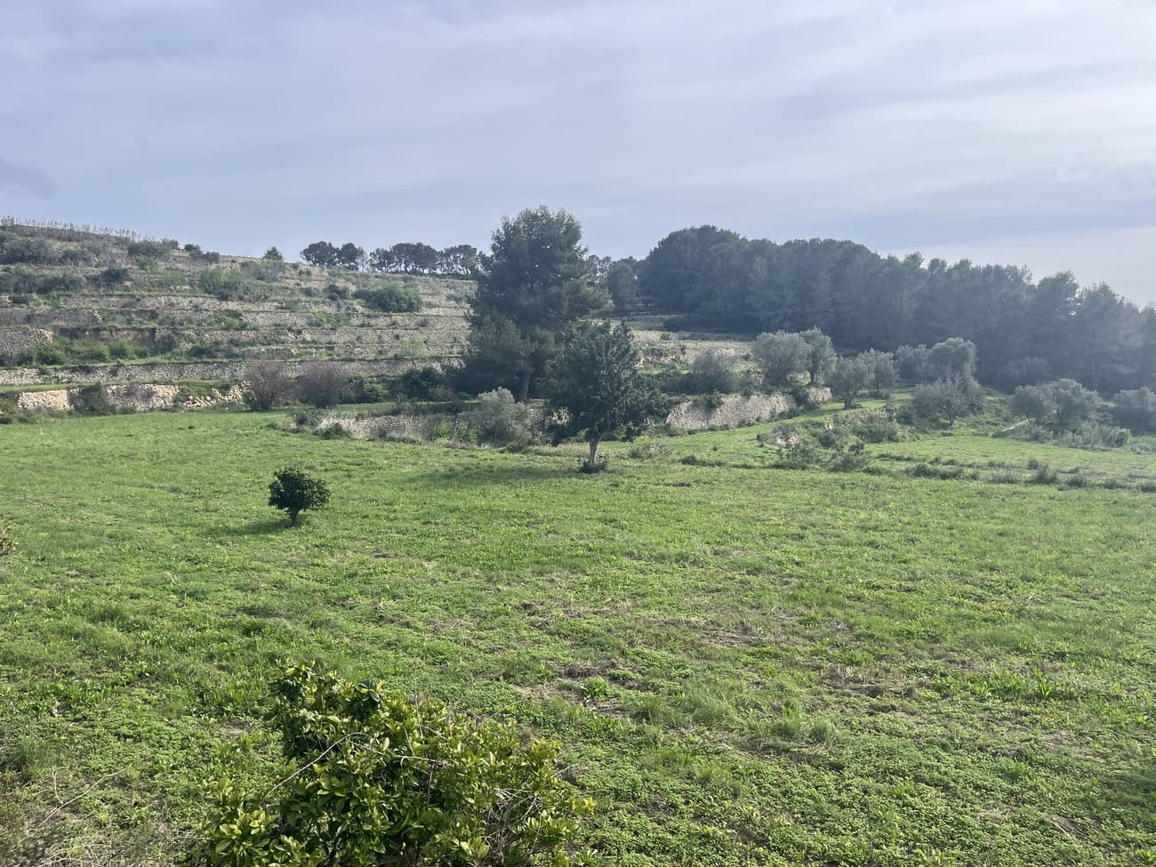 Byggegrund til salg i Pedramala - € 999.999 (Ref: 9182925)