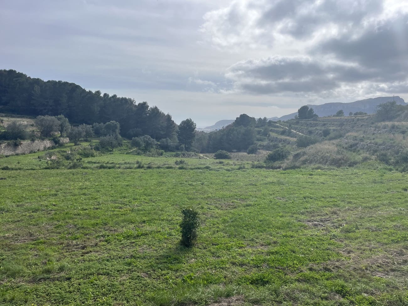 Byggegrund til salg i Pedramala - € 999.999 (Ref: 9182925)