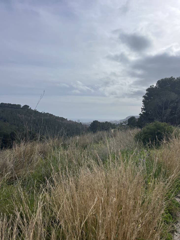 Byggegrund til salg i Pedramala - € 999.999 (Ref: 9182925)