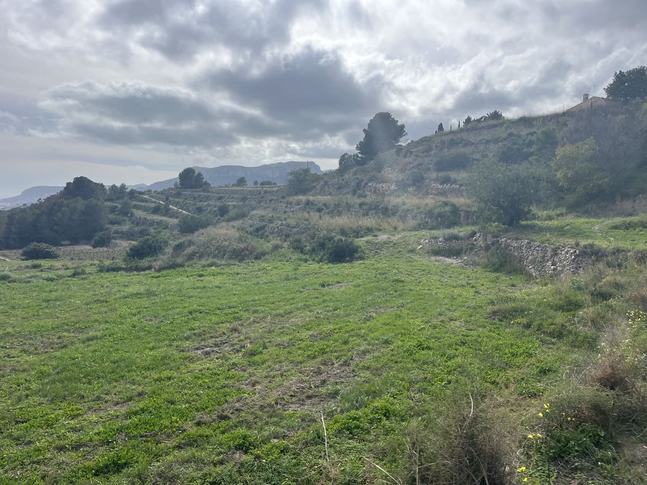 Byggegrund til salg i Pedramala - € 999.999 (Ref: 9182925)