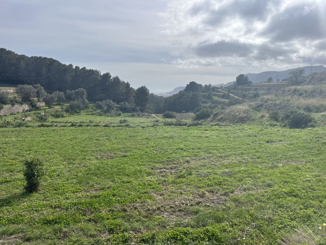 Byggegrund til salg i Pedramala - € 999.999 (Ref: 9182925)