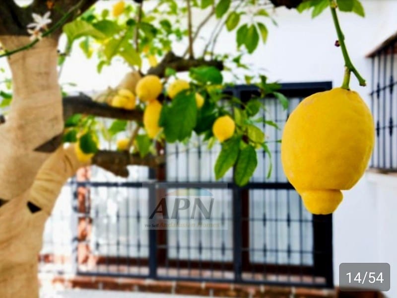 4 camera da letto Finca/Casa di Campagna in vendita in Alora con piscina - 690.000 € (Rif: 9211098)