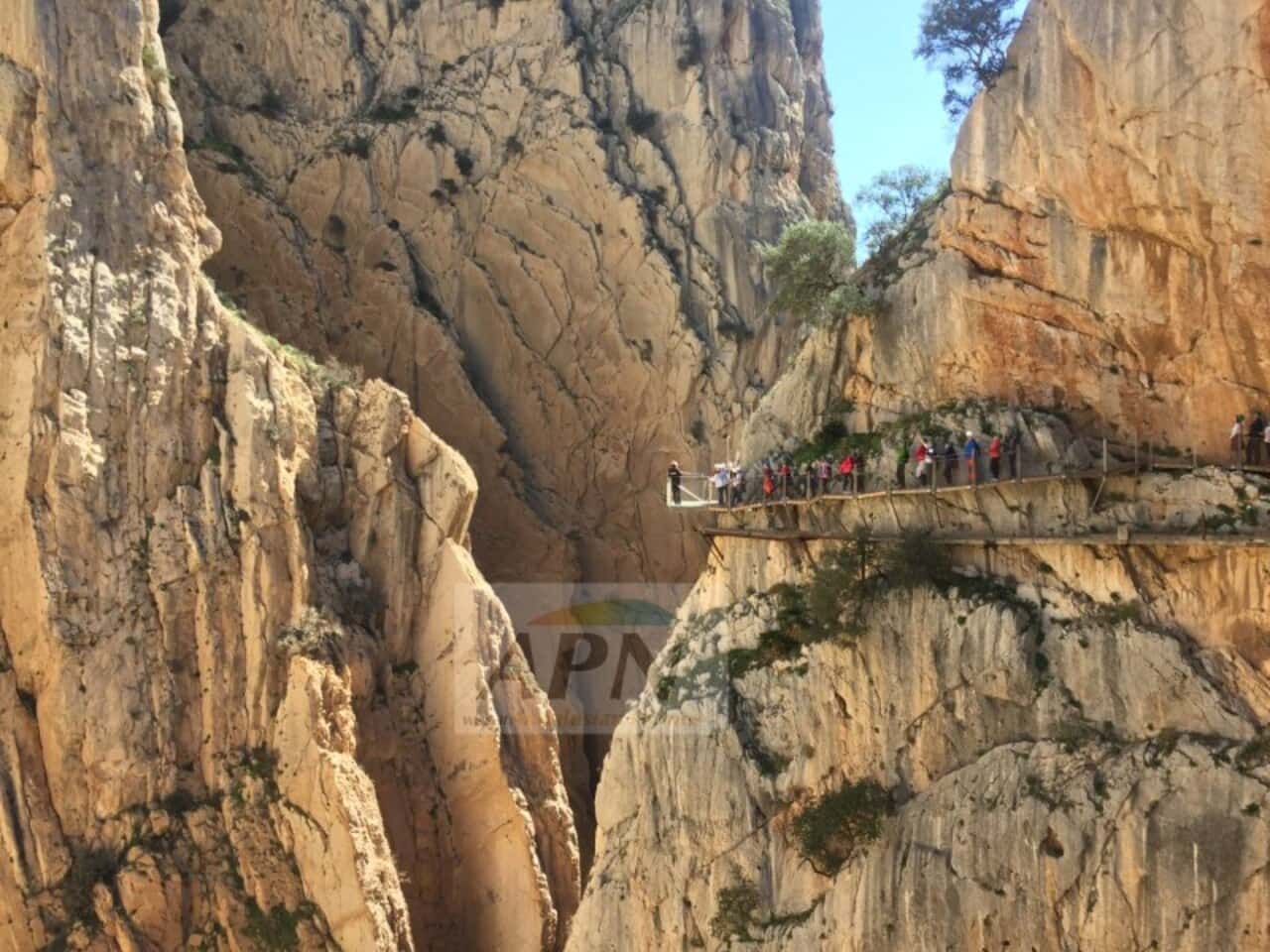 4 soverom Finca/Herregård til salgs i Alora - € 685 000 (Ref: 9211102)