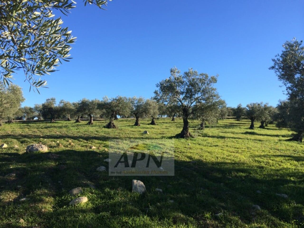 4 soverom Finca/Herregård til salgs i Alora - € 685 000 (Ref: 9211102)