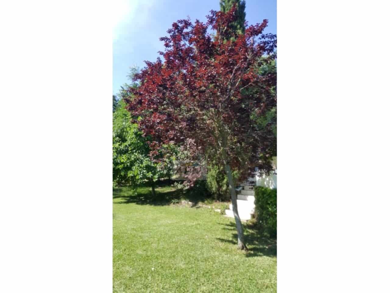 3 bedroom Finca/Country House for sale in Alora with pool - € 649,000 (Ref: 9231184)