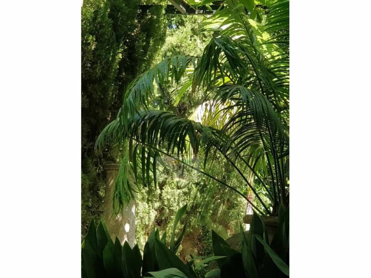 3 bedroom Finca/Country House for sale in Alora with pool - € 649,000 (Ref: 9231184)