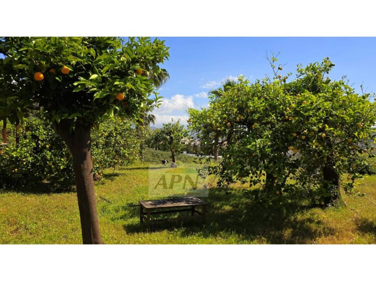 5 bedroom Finca/Country House for sale in Alora with pool - € 695,000 (Ref: 9231185)