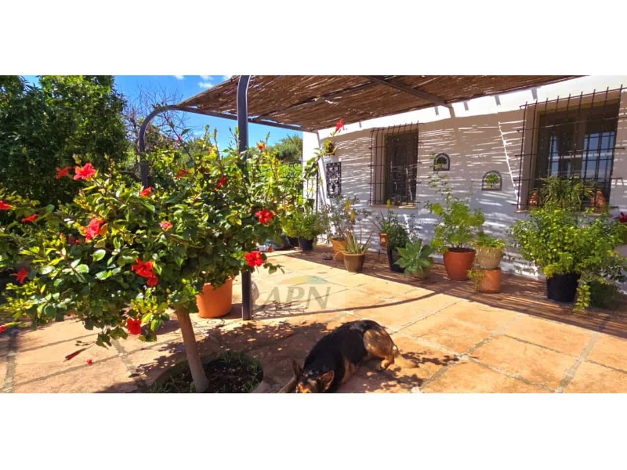 5 bedroom Finca/Country House for sale in Alora with pool - € 695,000 (Ref: 9231185)