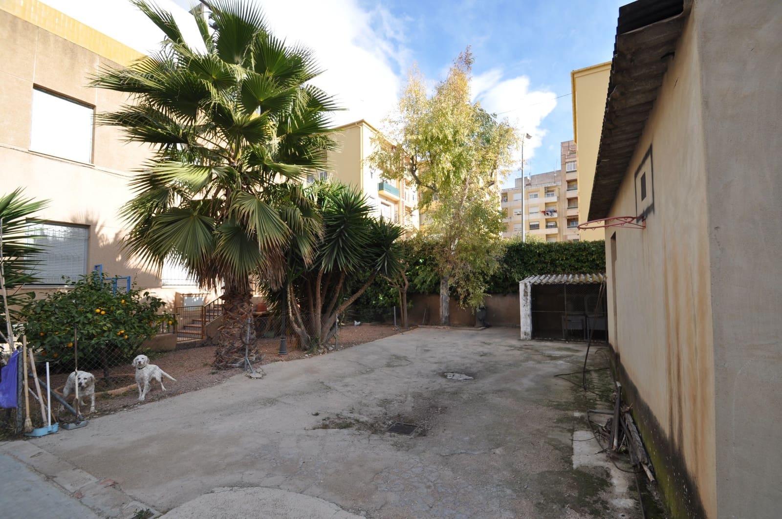 12 sypialnia Dom na sprzedaż w Petrel / Petrer z garażem - 1 575 000 € (Ref: 9314668)