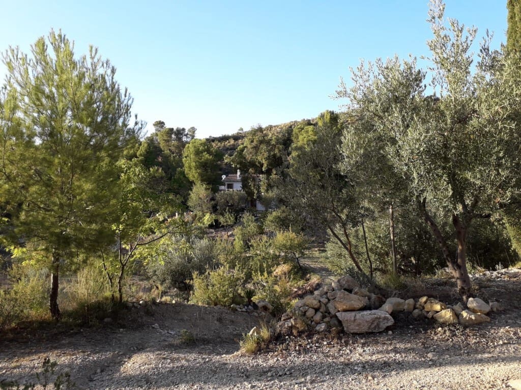 5 soverom Finca/Herregård til salgs i Torremanzanas - € 750 000 (Ref: 9314682)