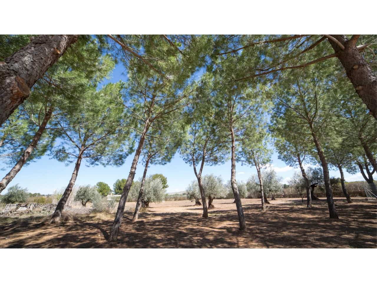 6 soveværelse Villa til salg i Yecla - € 600.000 (Ref: 9314693)