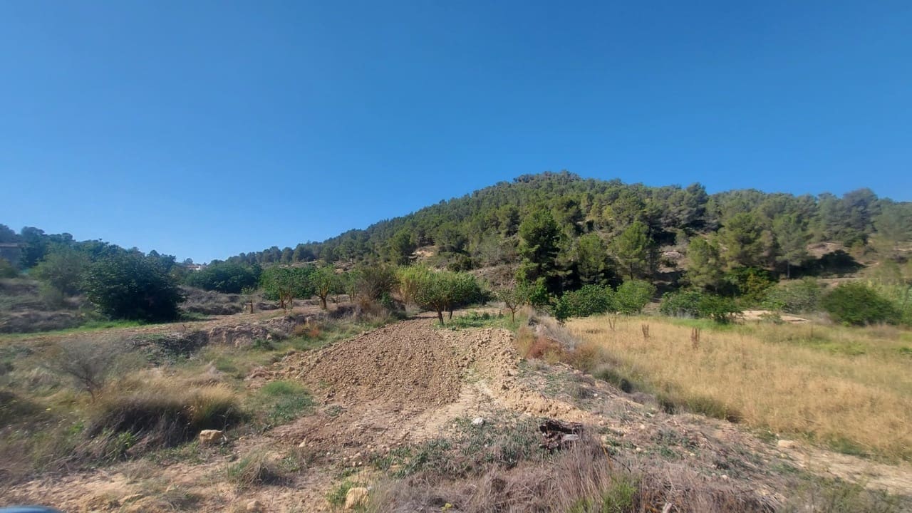 3 sypialnia Willa na sprzedaż w Jumilla - 625 000 € (Ref: 9314700)