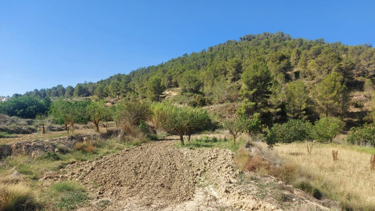 3 sypialnia Willa na sprzedaż w Jumilla - 625 000 € (Ref: 9314700)