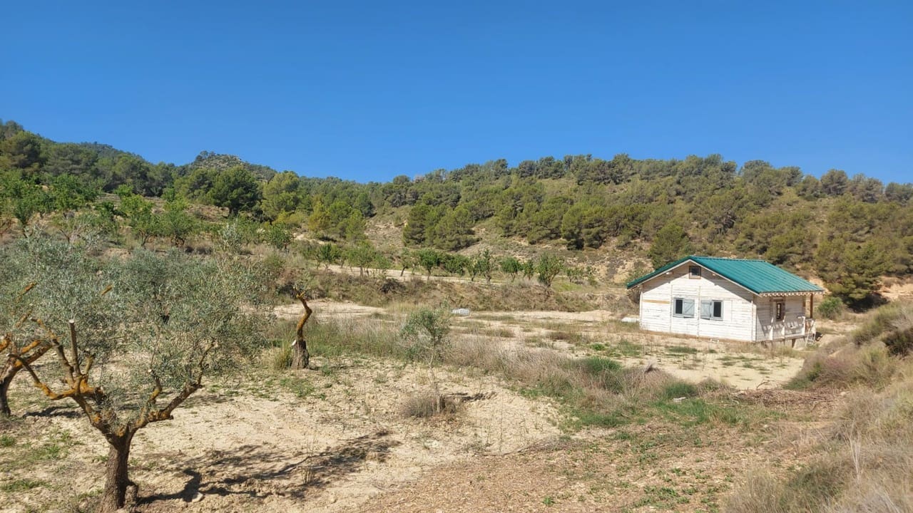 3 sypialnia Willa na sprzedaż w Jumilla - 625 000 € (Ref: 9314700)