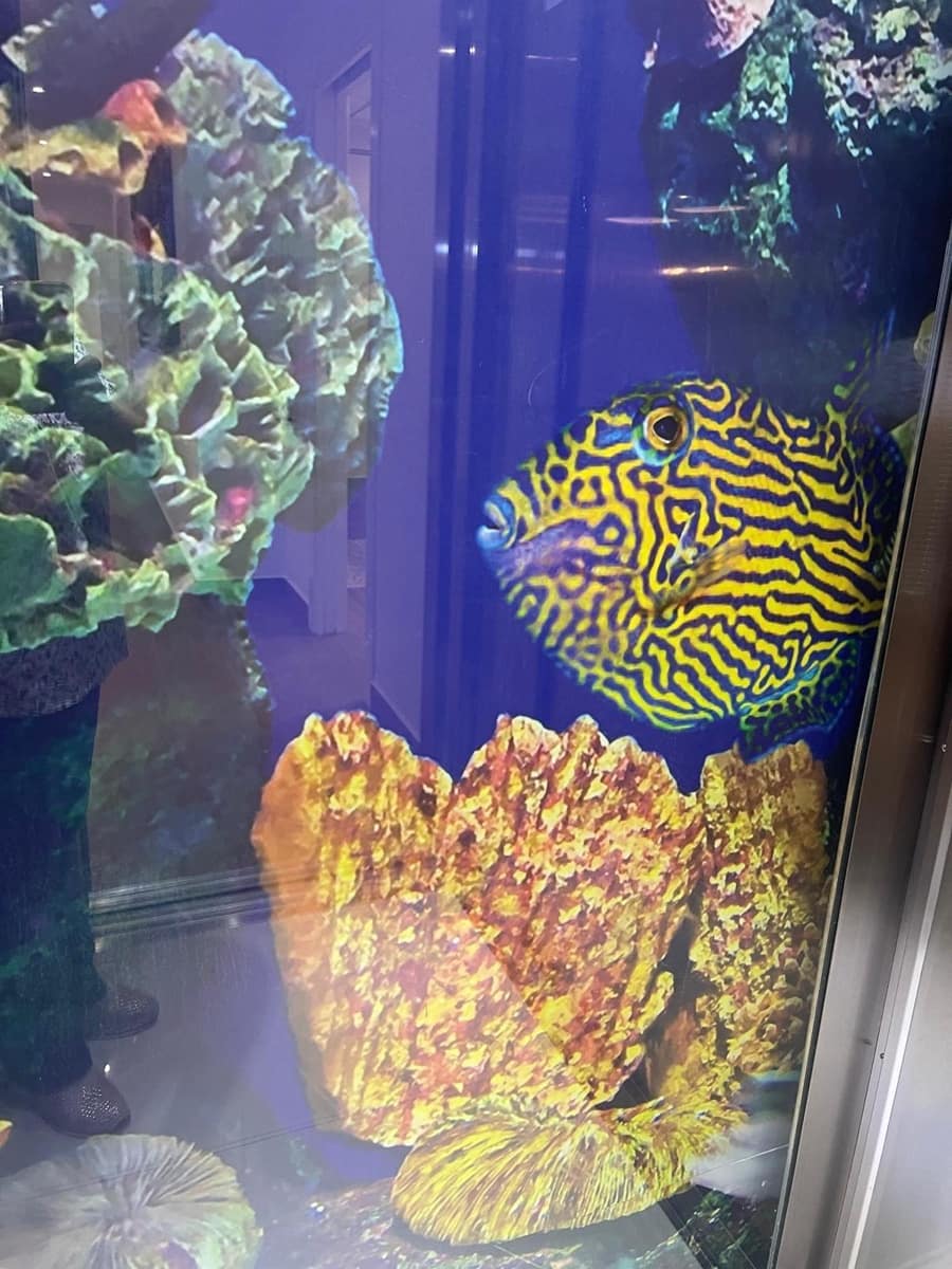 Chalet de 5 habitaciones en San Miguel de Salinas en venta con piscina - 995.000 € (Ref: 9314713)