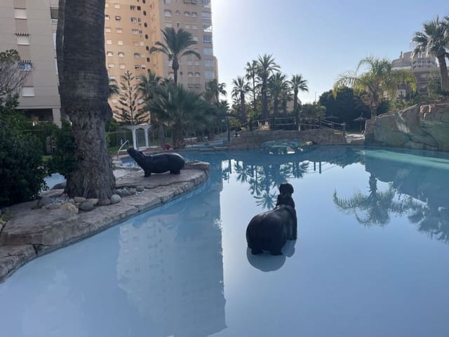 4 bedroom Apartment for sale in El Campello with pool garage - € 620,000 (Ref: 9314727)