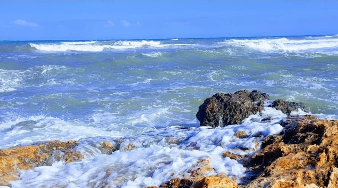 28 sypialnia Komercyjne na sprzedaż w Torrevieja - 2 150 000 € (Ref: 9314750)