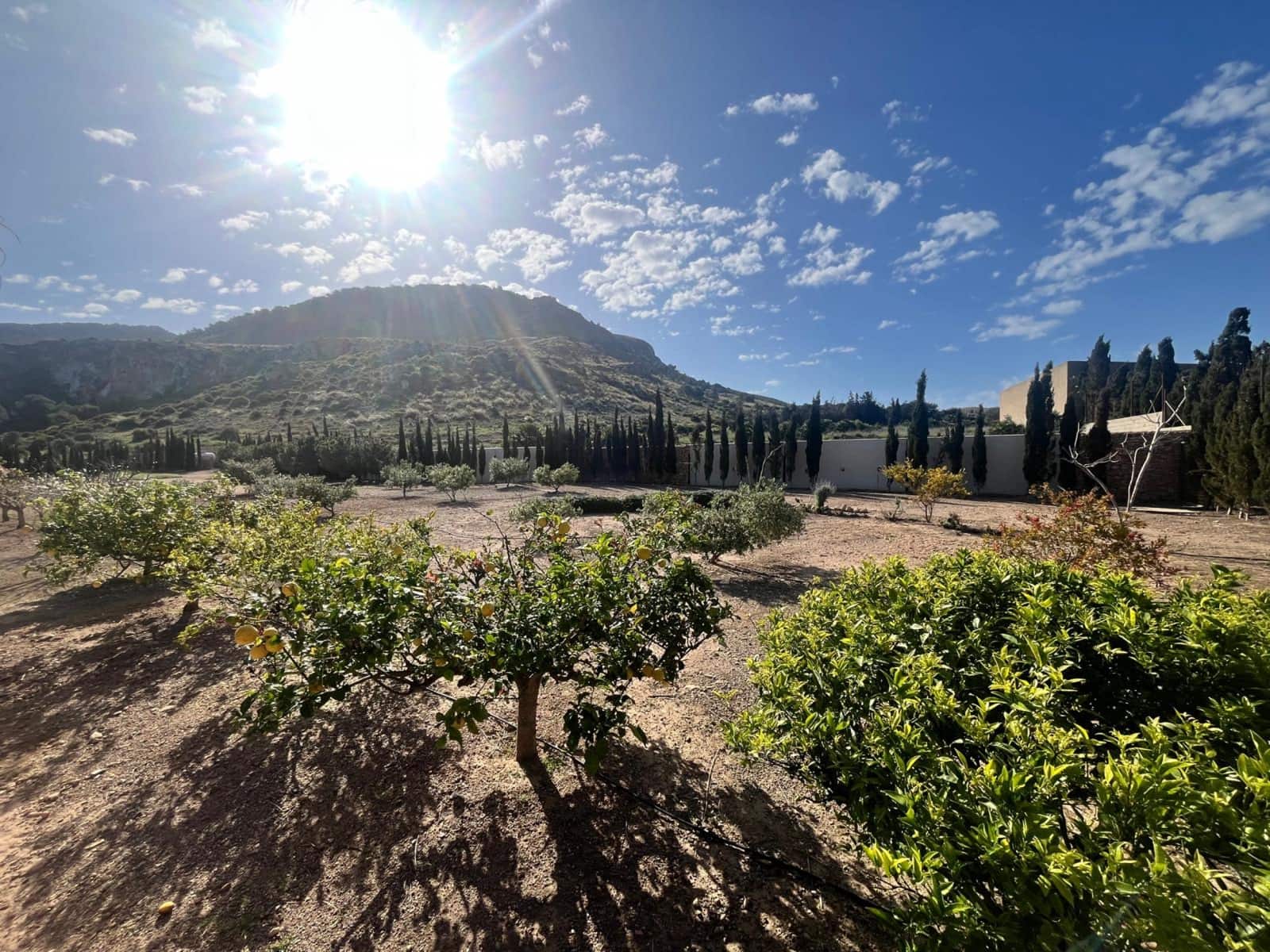 4 camera da letto Villa in vendita in Rincon de San Gines con piscina garage - 1.650.000 € (Rif: 9314767)