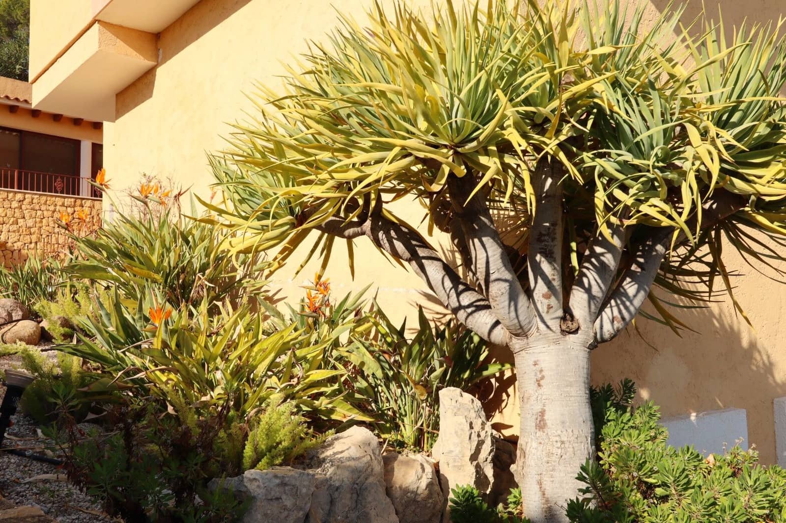 5 quarto Moradia para venda em Altea com garagem - 2 000 000 € (Ref: 9314773)