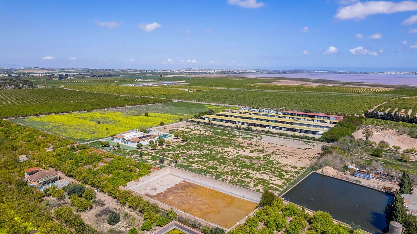 6 camera da letto Villa in vendita in Los Montesinos - 779.000 € (Rif: 9314806)