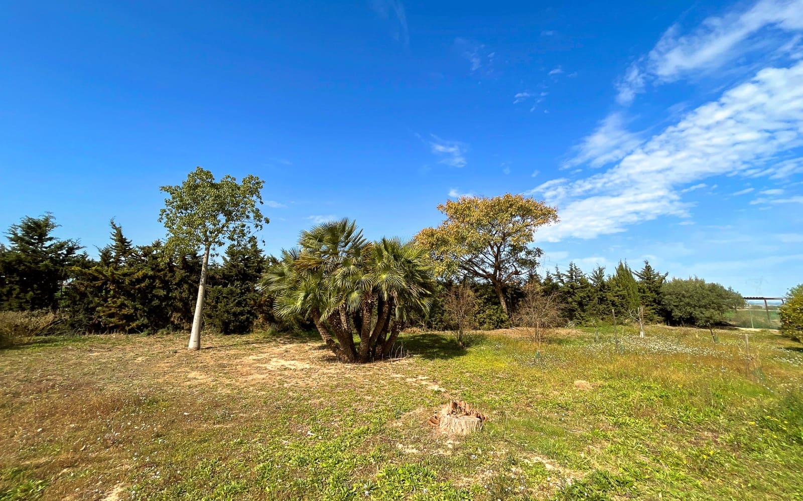 6 soveværelse Villa til salg i La Puebla - € 695.000 (Ref: 9314843)