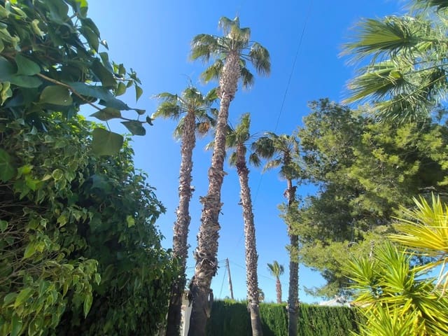 5 sovrum Villa till salu i El Chaparral, Torrevieja med pool - 550 000 € (Ref: 9314844)