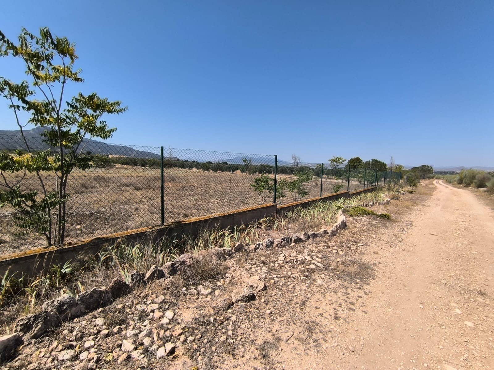 6 soverom Finca/Herregård til salgs i Villena med garasje - € 599 995 (Ref: 9314884)