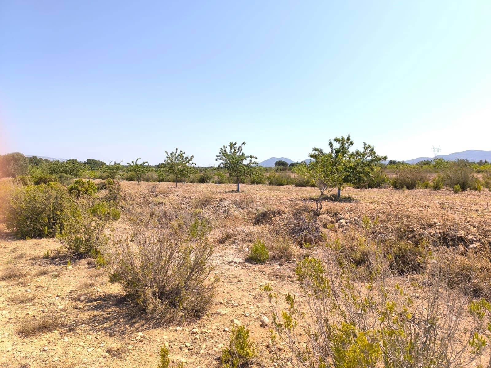 6 soverom Finca/Herregård til salgs i Villena med garasje - € 599 995 (Ref: 9314884)