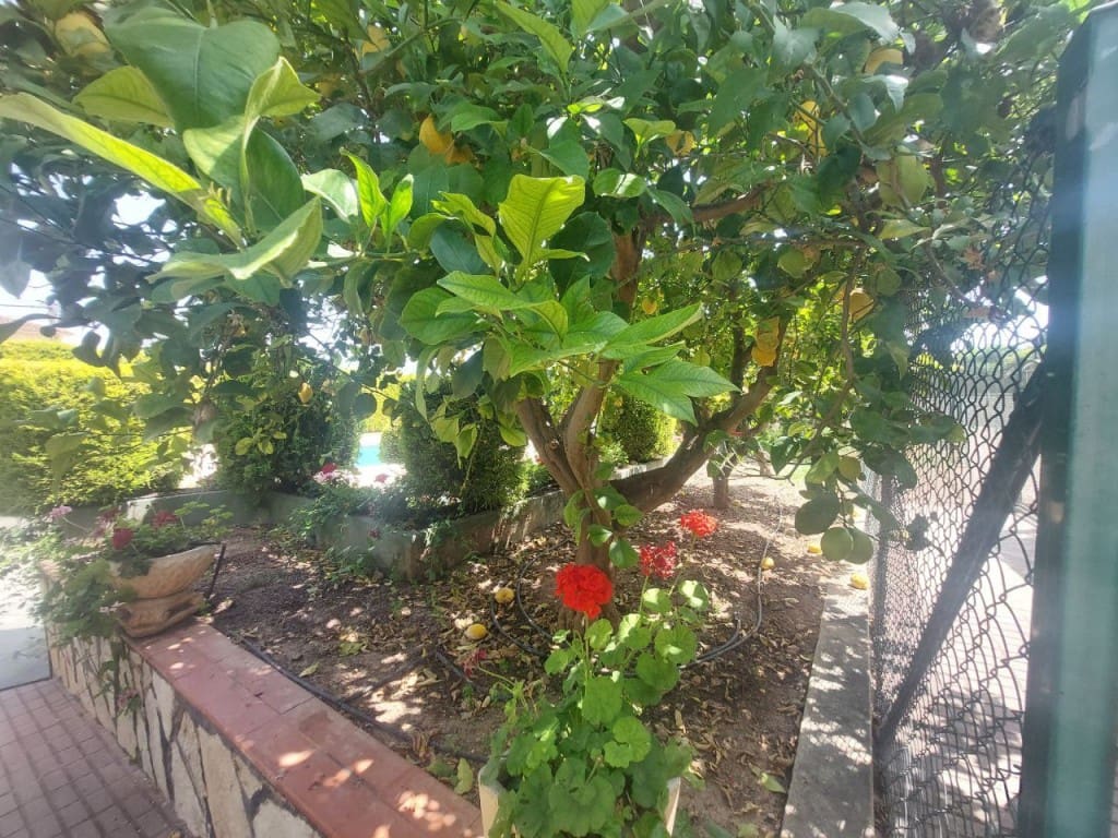 5 slaapkamer Villa te koop in Albir met zwembad garage - € 1.695.000 (Ref: 9314906)