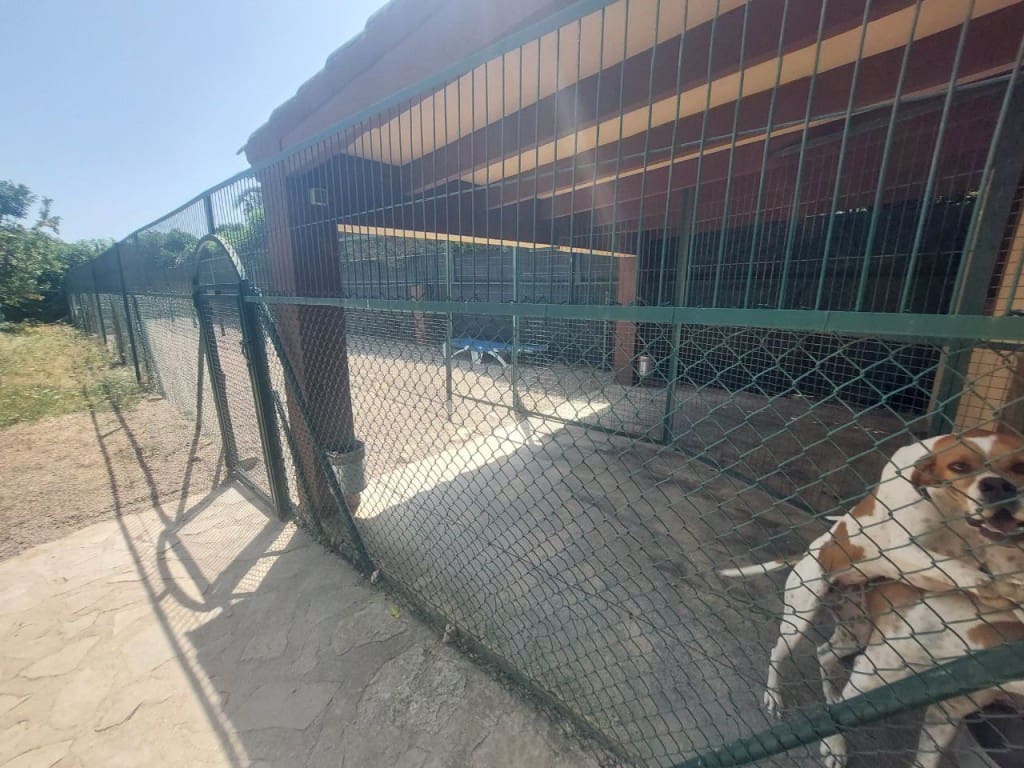 5 slaapkamer Villa te koop in Albir met zwembad garage - € 1.695.000 (Ref: 9314906)