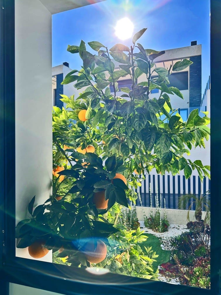 Chalet de 3 habitaciones en Rojales en venta con piscina garaje - 620.000 € (Ref: 9314971)