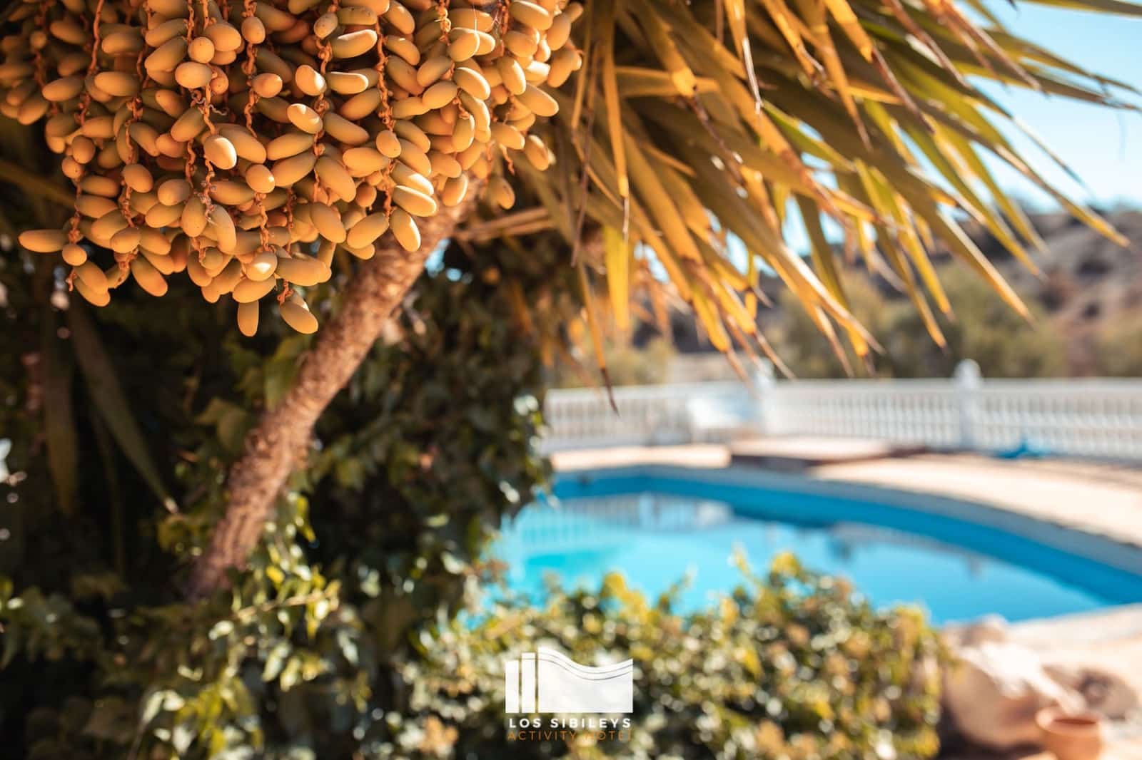 7 chambre Finca/Maison de Campagne à vendre à Almendricos avec piscine - 737 000 € (Ref: 9315006)