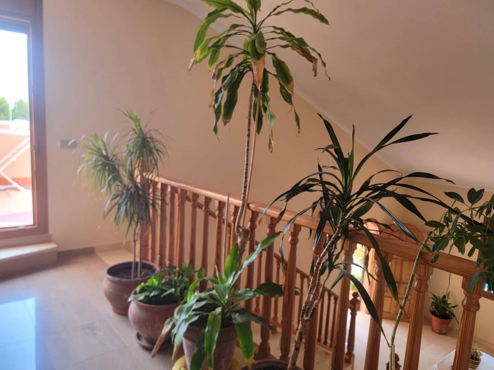 Chalet de 4 habitaciones en Torrevieja en venta con piscina - 1.000.000 € (Ref: 9315025)