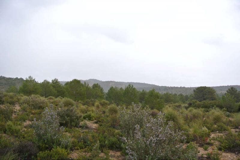 Finca/Herregård til salgs i Yecla - € 3 000 000 (Ref: 9315129)