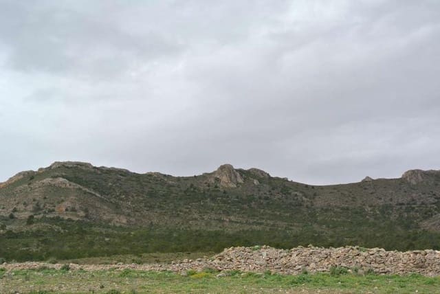 Finca/Herregård til salgs i Yecla - € 3 000 000 (Ref: 9315129)