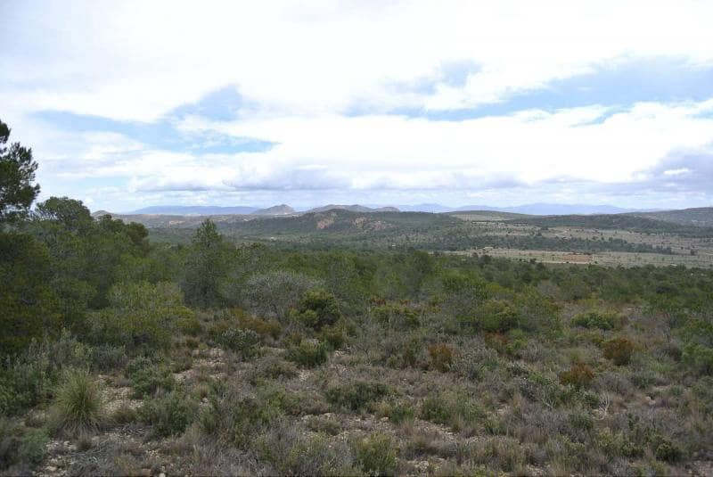 Finca/Herregård til salgs i Yecla - € 3 000 000 (Ref: 9315129)