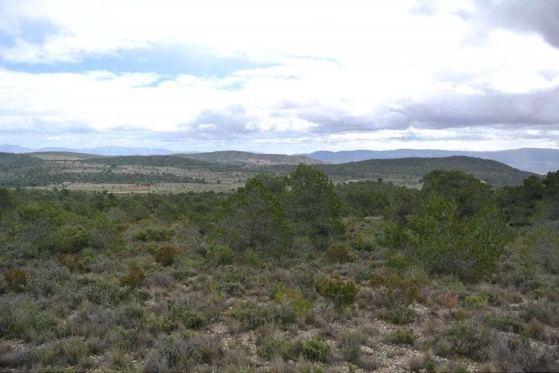 Finca/Herregård til salgs i Yecla - € 3 000 000 (Ref: 9315129)