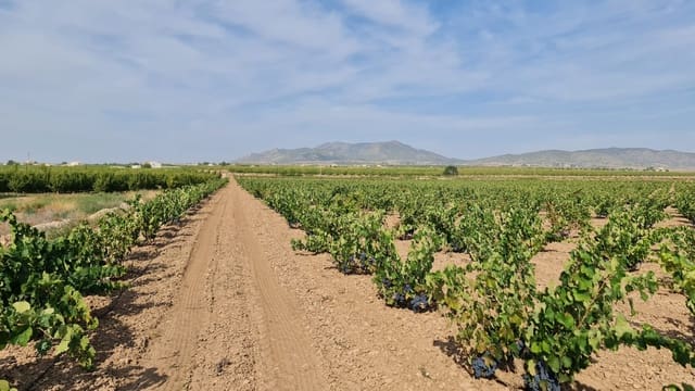 Finka/Dom wiejski na sprzedaż w Pinoso - 552 840 € (Ref: 9315131)