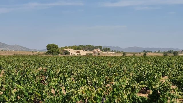 Finka/Dom wiejski na sprzedaż w Pinoso - 552 840 € (Ref: 9315131)