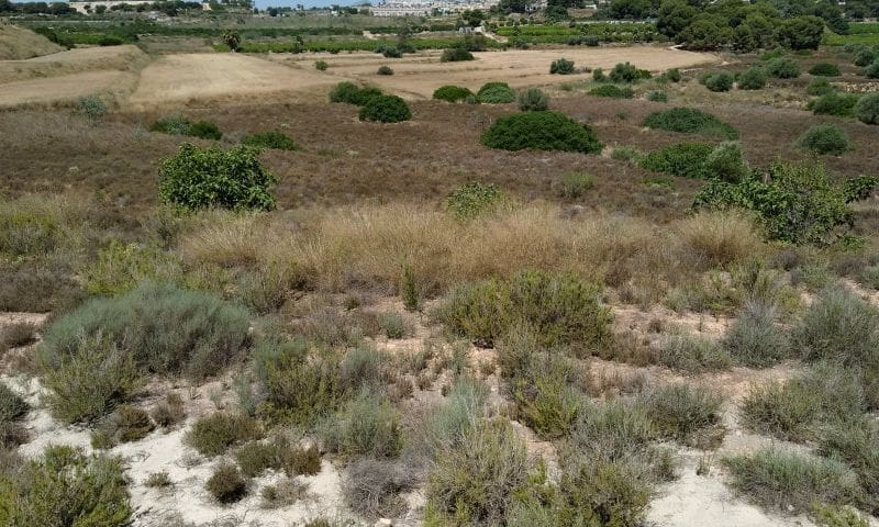 Undeveloped Land for sale in Pinar de Campoverde - € 976,980 (Ref: 9315136)