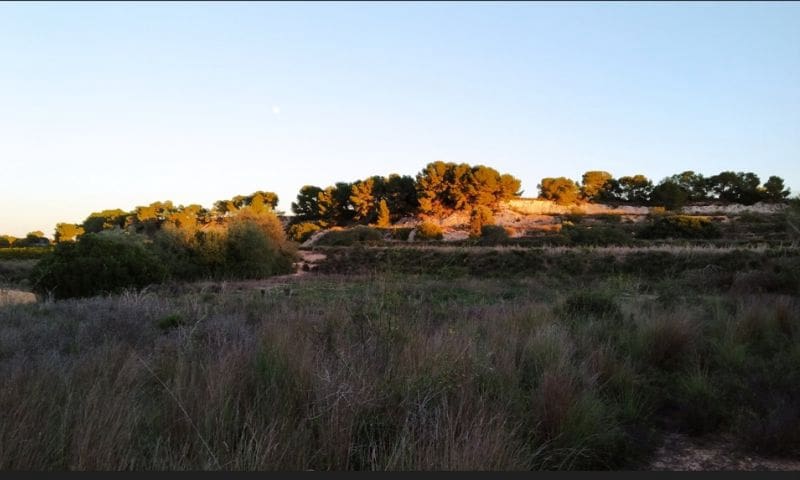 Undeveloped Land for sale in Pinar de Campoverde - € 976,980 (Ref: 9315136)