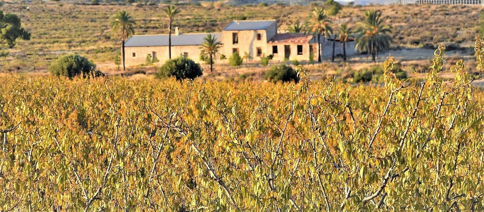 Finca/Hus på landet till salu i Las Torres de Cotillas - 13 520 000 € (Ref: 9315143)