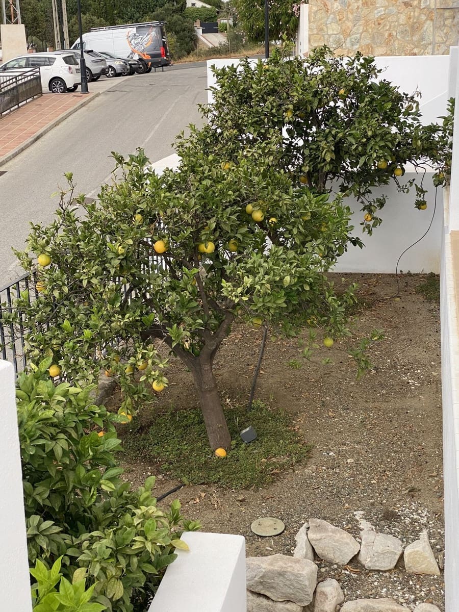 3 sypialnia Willa na sprzedaż w Mijas z basenem - 1 445 000 € (Ref: 9344368)