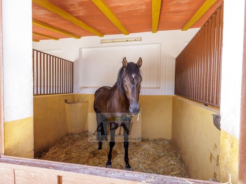 4 sypialnia Finka/Dom wiejski na sprzedaż w Moron de la Frontera - 699 000 € (Ref: 9426422)