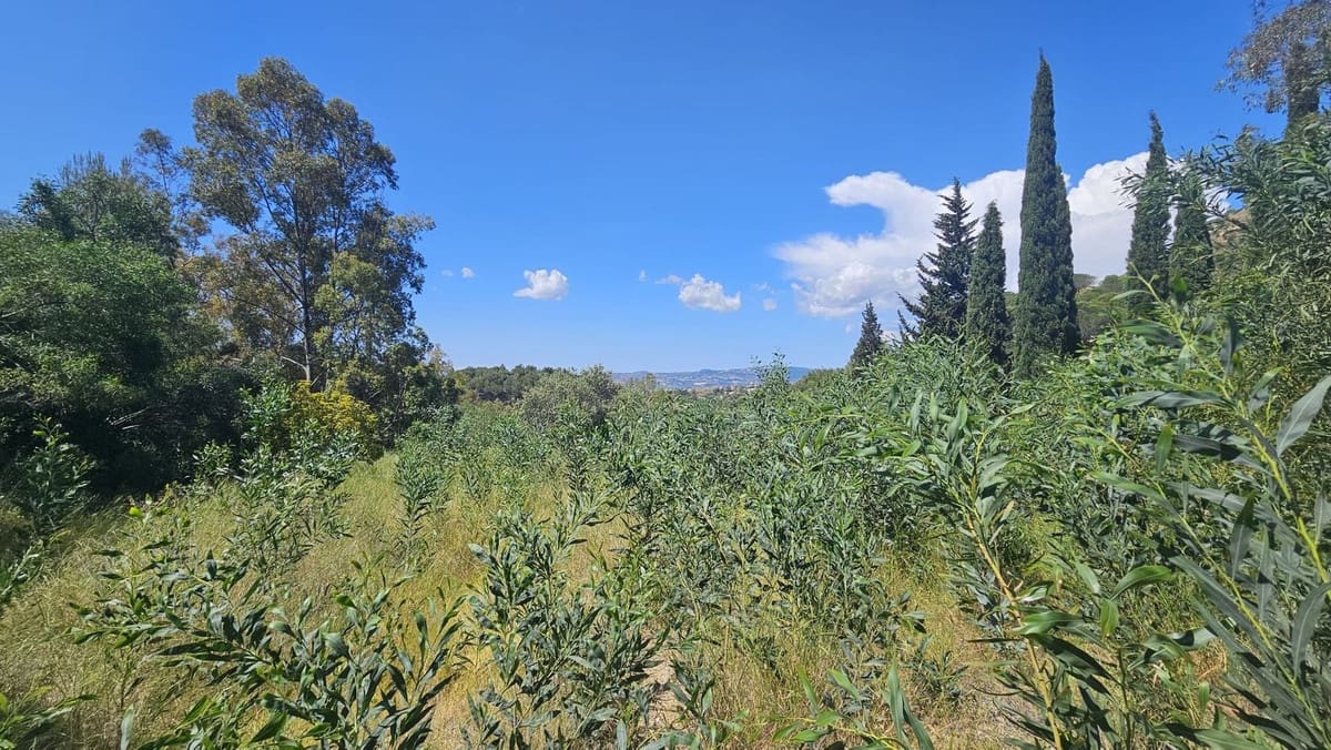 5 chambre Finca/Maison de Campagne à vendre à Mijas avec piscine - 1 380 000 € (Ref: 9429409)