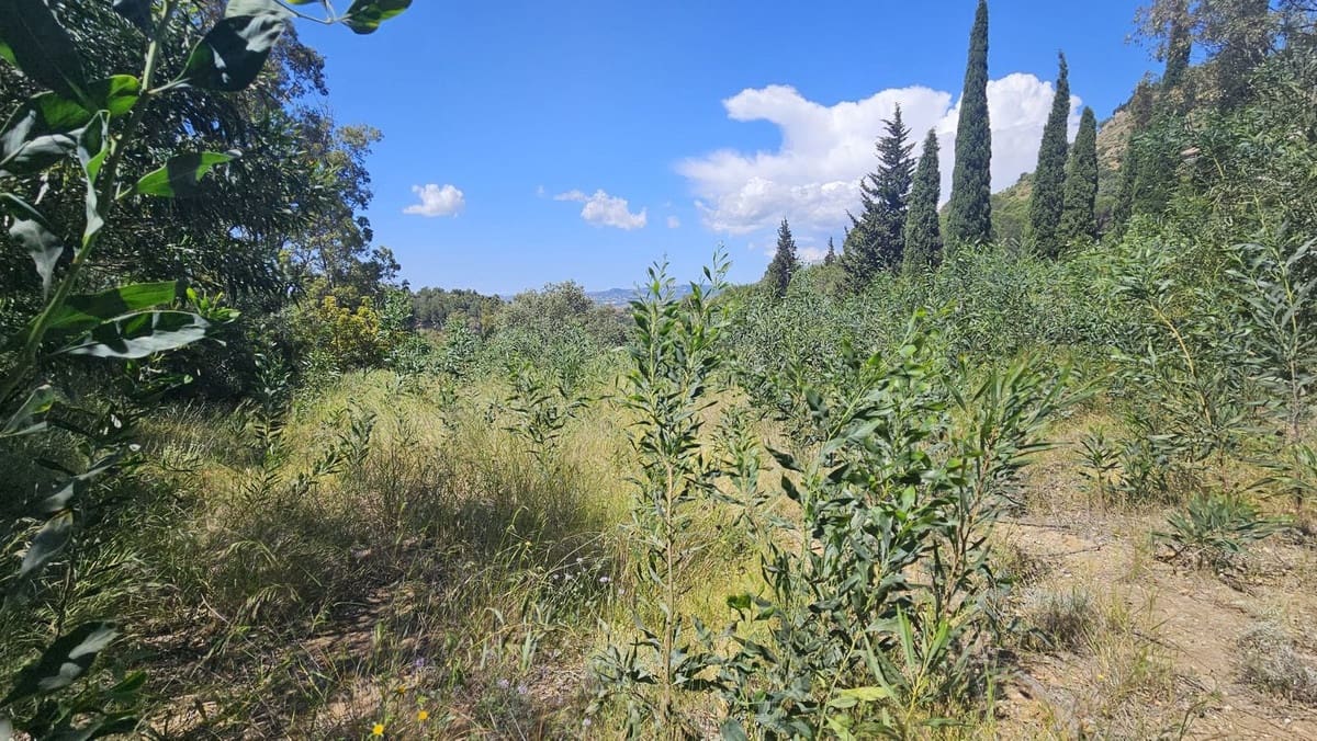 5 chambre Finca/Maison de Campagne à vendre à Mijas avec piscine - 1 380 000 € (Ref: 9429409)