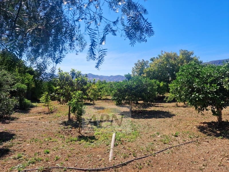 6 quarto Quinta/Casa Rural para venda em Alora com piscina - 585 000 € (Ref: 9454750)